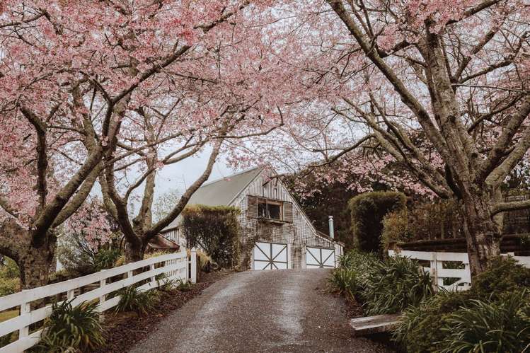 2a Loop Road Wairoa_27