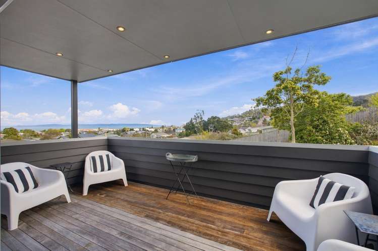 203a Hape Road Thames_1