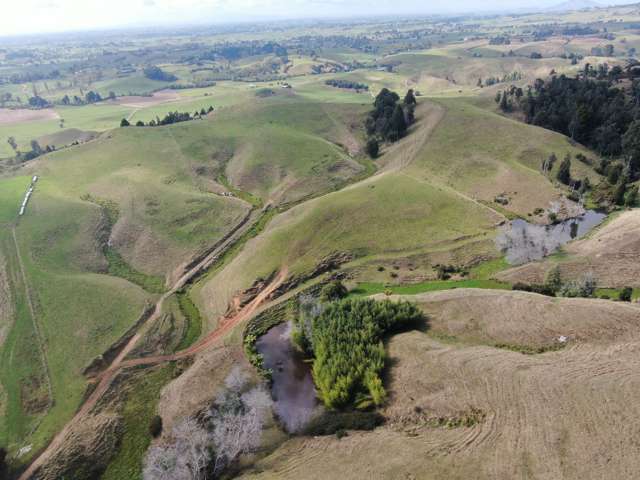 1026 Limeworks Loop Road Karamu_1