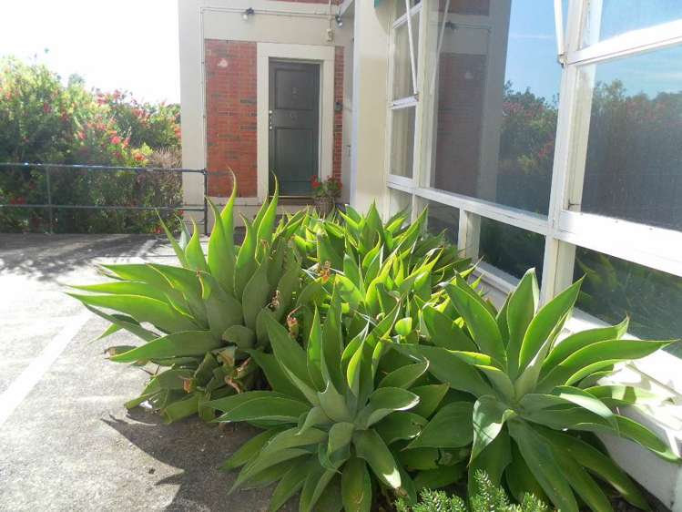 2/258 Parnell Road Parnell_11