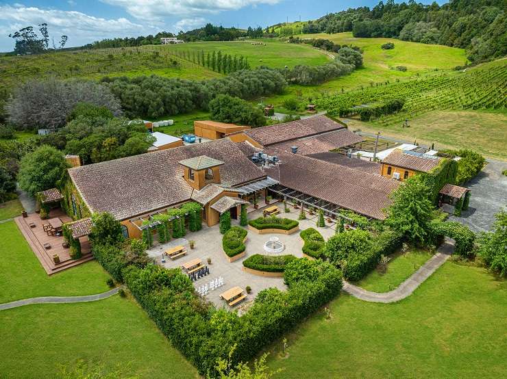 480 Matakana Road, Matakana, Ascencion vineyard