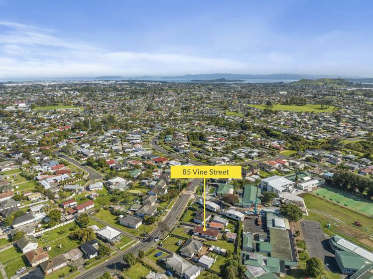 85 Vine Street Mangere East_16