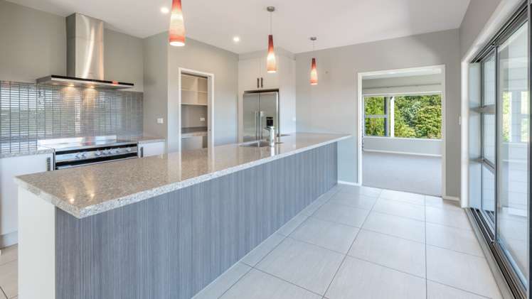 30c Thompsons Track Aongatete_5