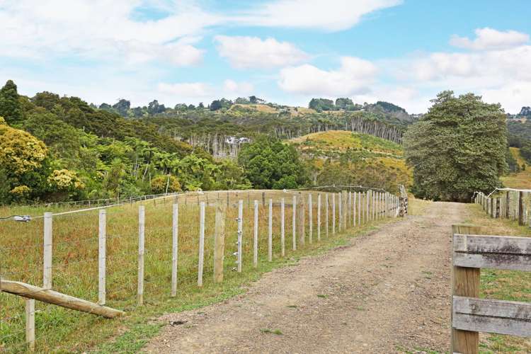 22 Munros Road Clevedon_17