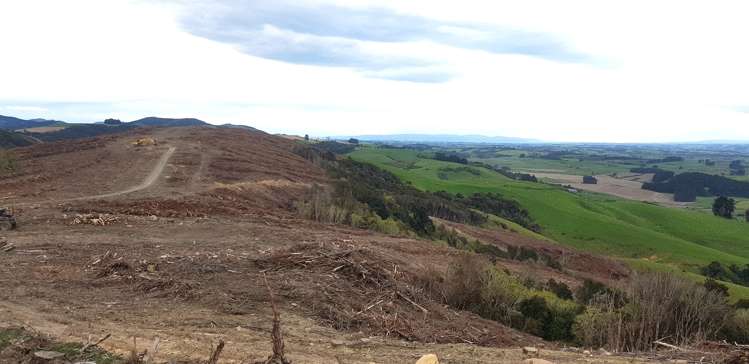 Karoro Creek Road Kaka Point_1