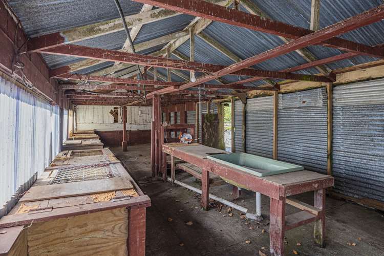 77 Pataua North Road Whareora_16