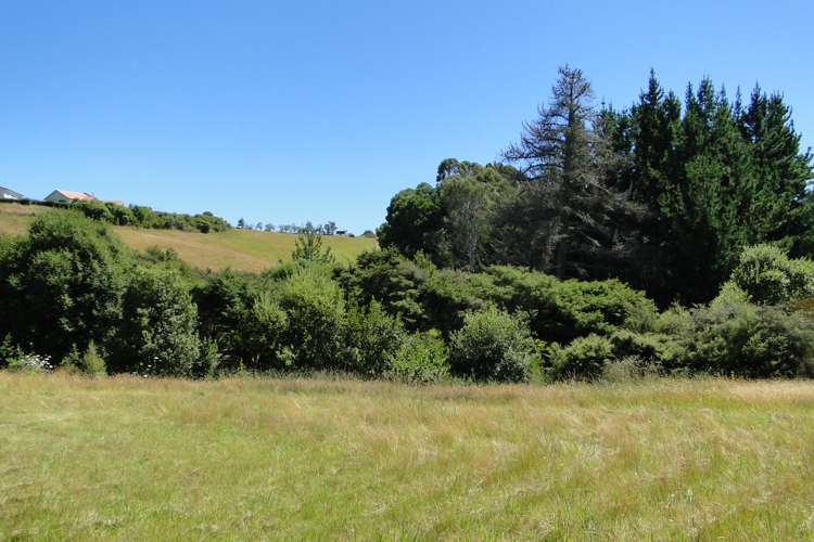 99 Dawson Road Upper Moutere_11