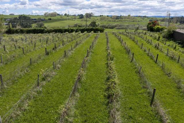 62a Orchard Road Te Kauwhata_1