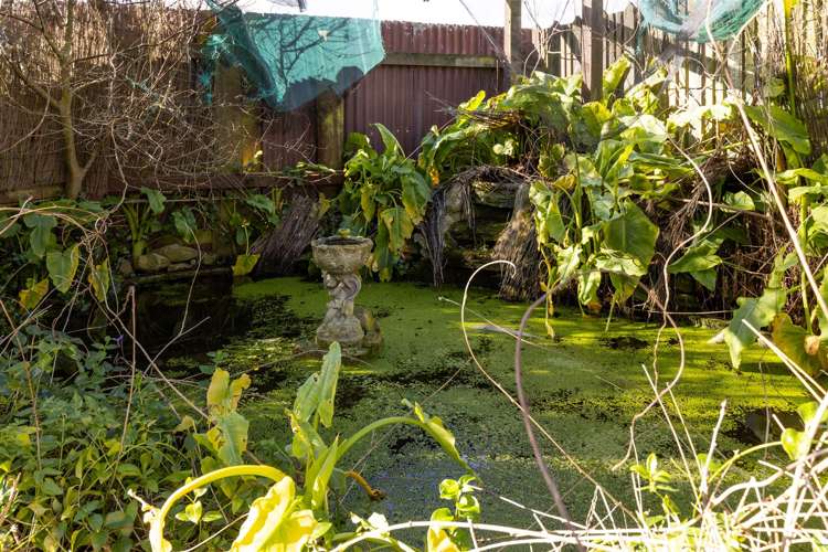 3 Wests Road Ward_12