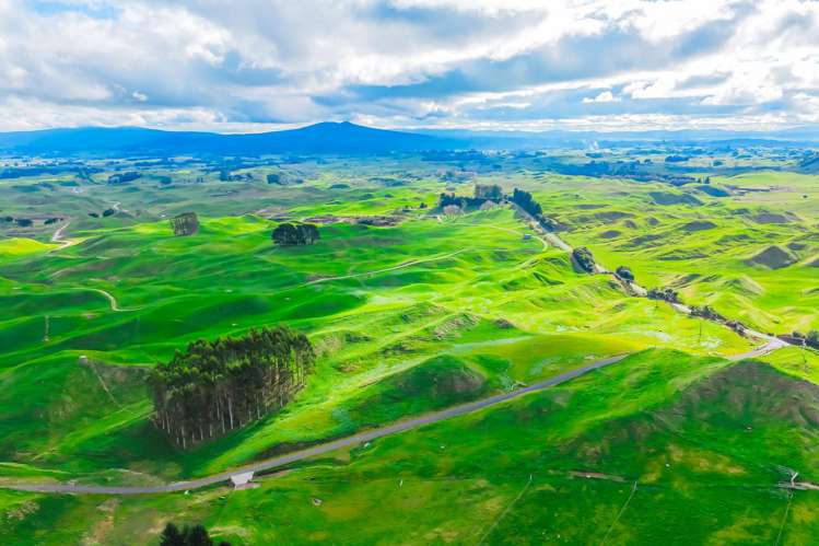 473 Otake Road Marotiri_16