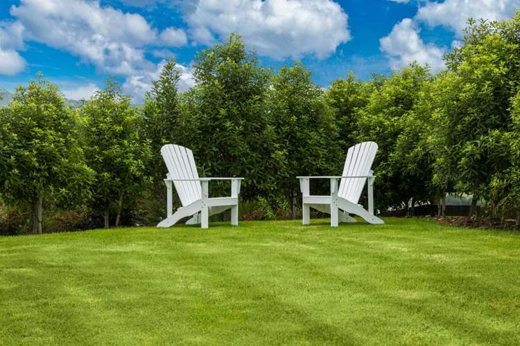 65 Moses Road Kaukapakapa_14