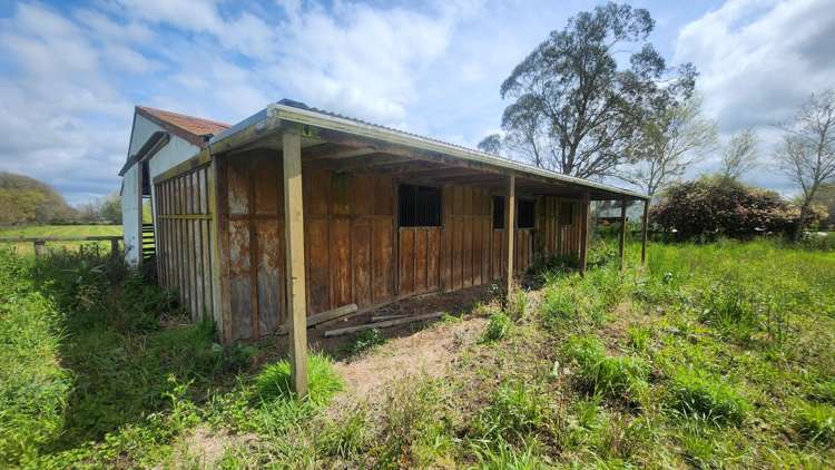 927 Tauwhare Road Pukemoremore_5