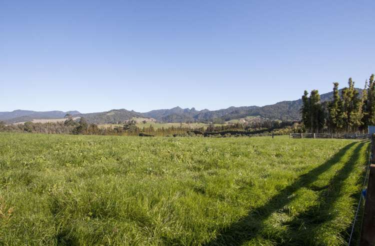 291 Rea Road Hauraki Surrounds_12