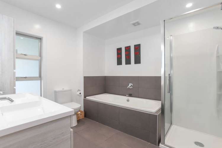 48a Belfast Street Hillsborough_15