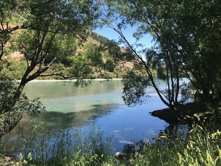 60 Red Cottage Drive_0