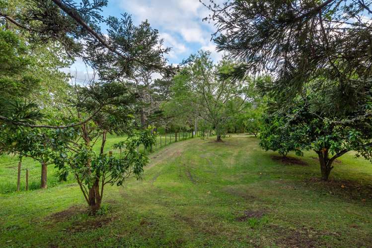 435 Pine Valley Road Dairy Flat_47