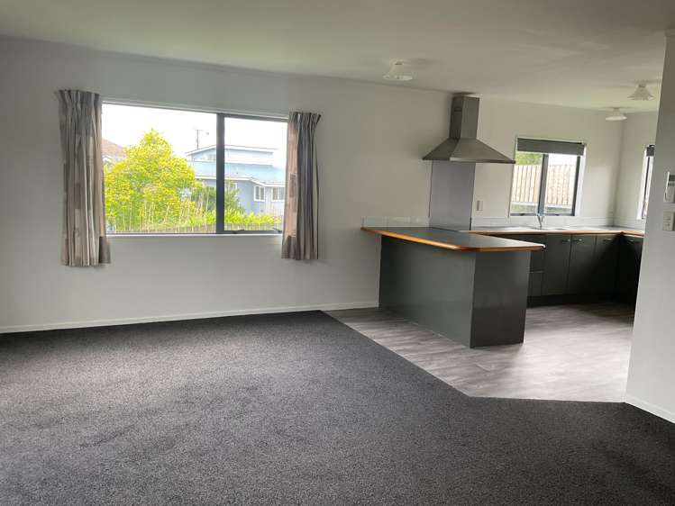 255 Rodney Street Wellsford_15