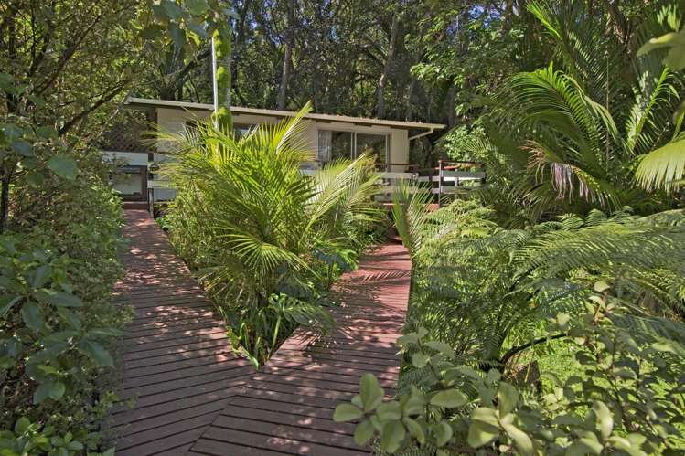 179 Shoal Bay Road Great Barrier Island_12