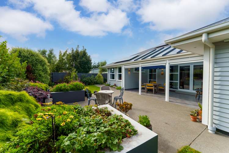 22 Wineberry Avenue Amberley_3