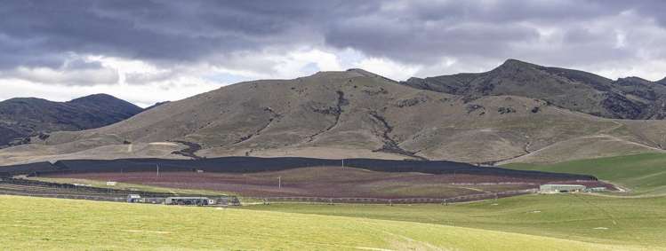 159 Thomson Gorge Road Cromwell_13