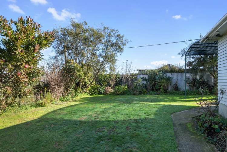 30 Graham Street Levin_12