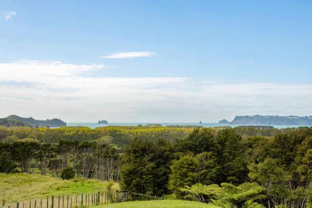 168 Moewai Road Whitianga_1