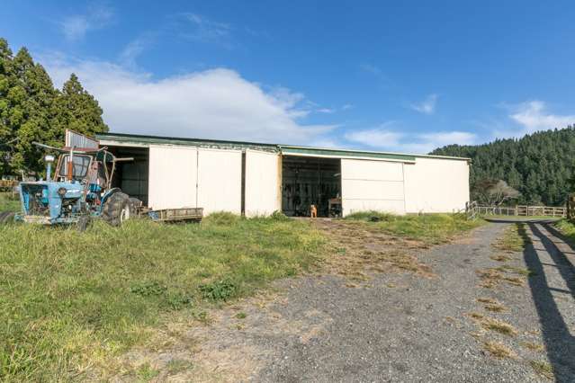 326 Scotsman Valley Road Tauwhare_4