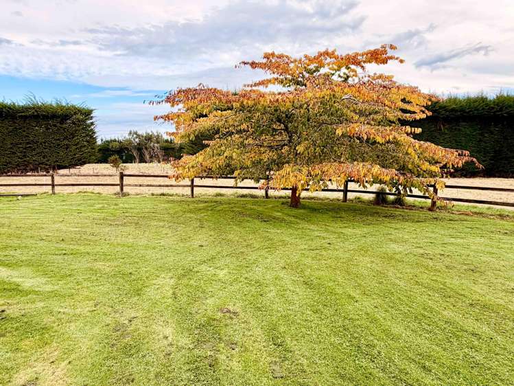 183 Drysdale Road Myross Bush_29