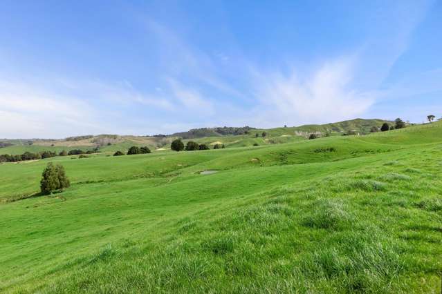 895 Wairamarama Onewhero Road Tuakau_3