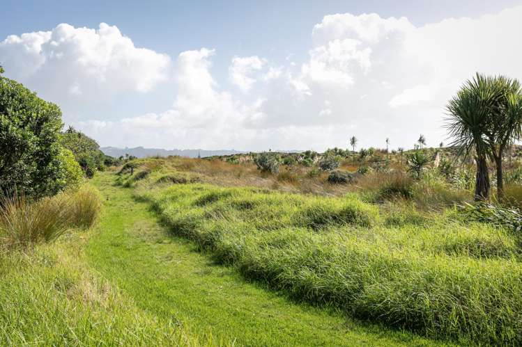 9 Tuhua Place Bowentown_30