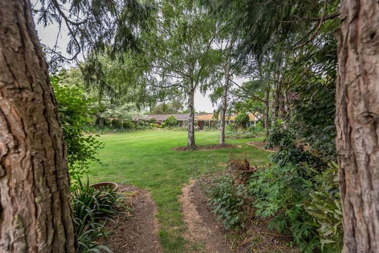 439 Dawsons Road Templeton_33