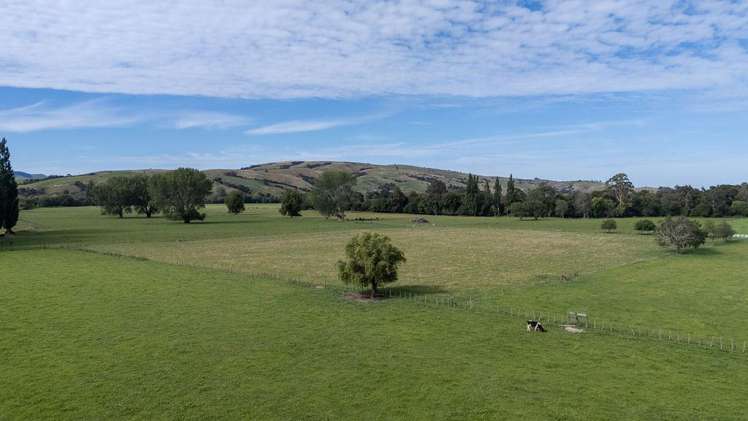 72 Taumata Island Road Taumata Island_9