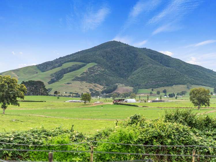 690 Te Kawa Road Te Kawa_14