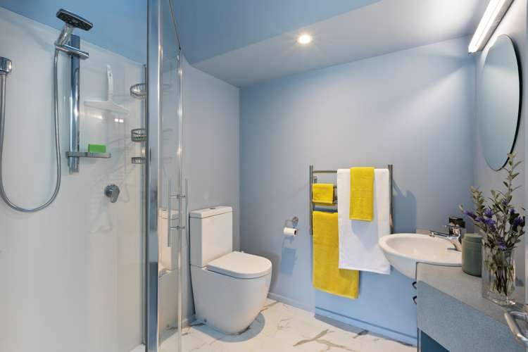 8A Awa Road Miramar_13