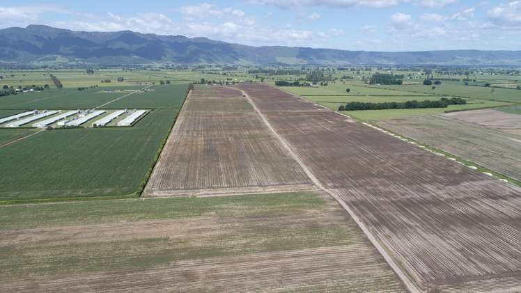 1291 Alexandra Road Waharoa_12