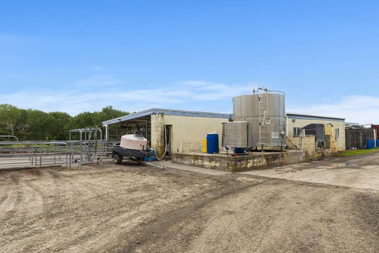 1371 Waihue Road Dargaville Surrounds_10