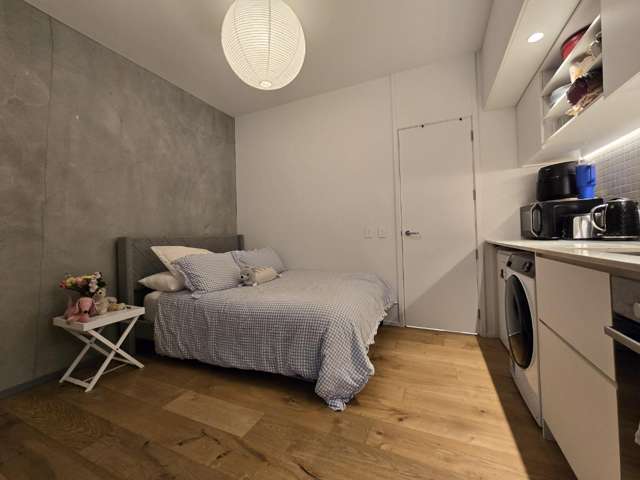 267B Willis Street 2185_4