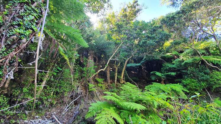 Lot 138/DP4961 North Cove_5