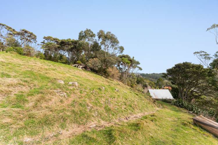 219 School Road Waimauku_23