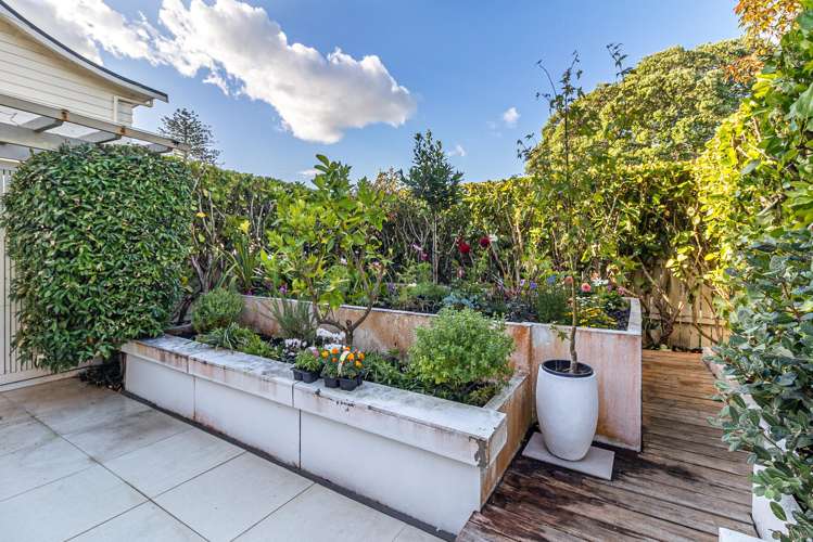 159 Remuera Road Remuera_13