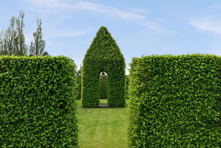 1058 Nicholls Road Central Hawkes Bay Country_38