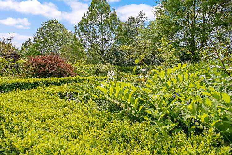 838 Rapaura Road Rapaura_46