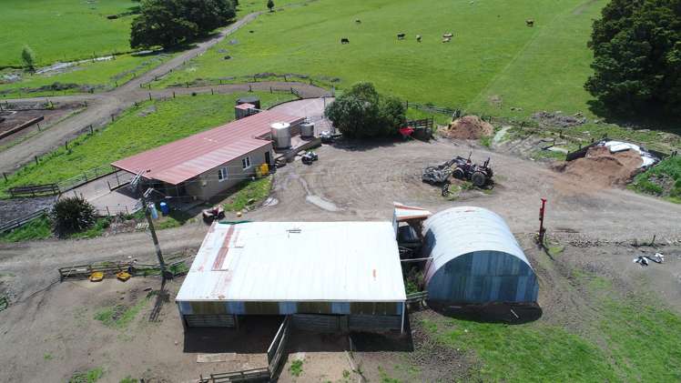 101 Pullin Road Ruatangata_11