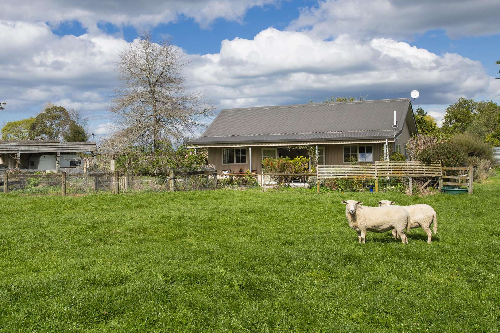 16 Maclaurin Road Makauri_0