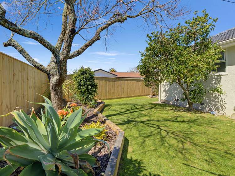 18 Beach Street Whakatane_21