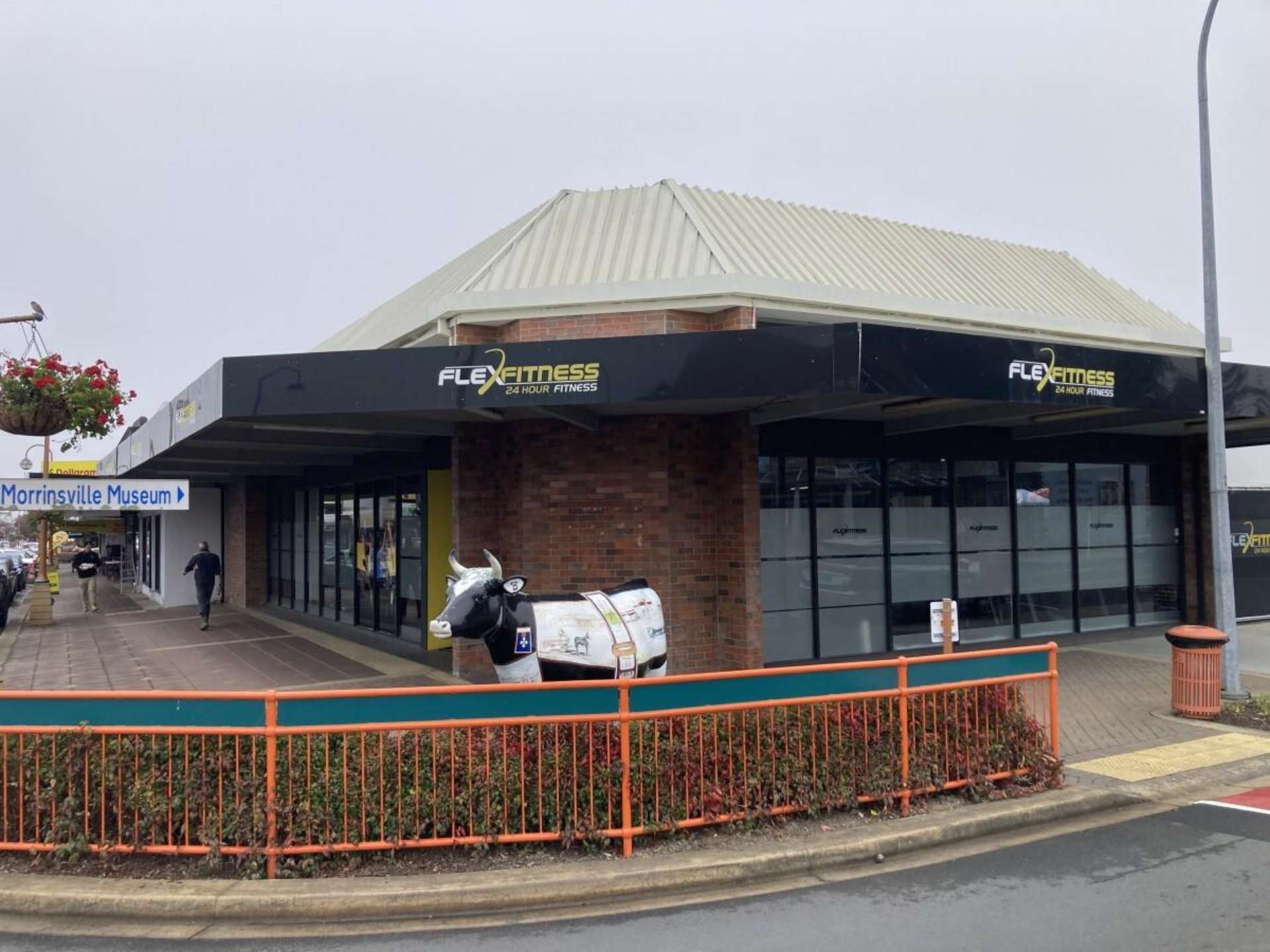 241 Thames Street Morrinsville_0