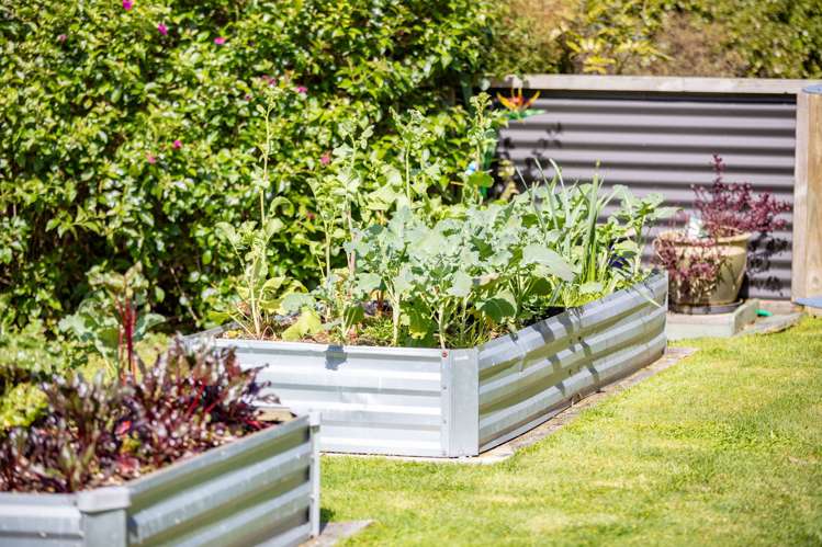 2 Ballybunnion Crescent Morrinsville_24