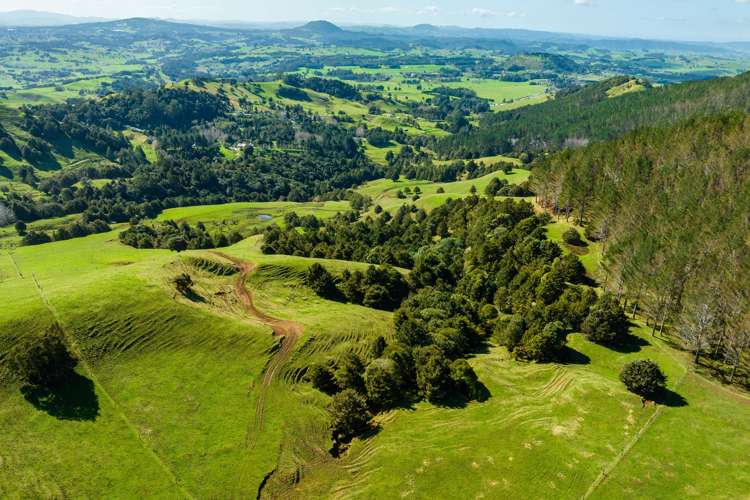 255 O'Carroll Road Maungakaramea_15