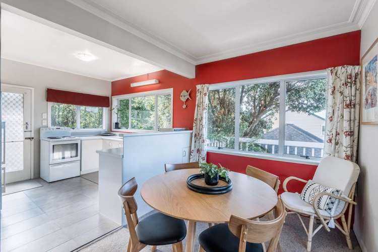 65a Frederick Street Hillsborough_5