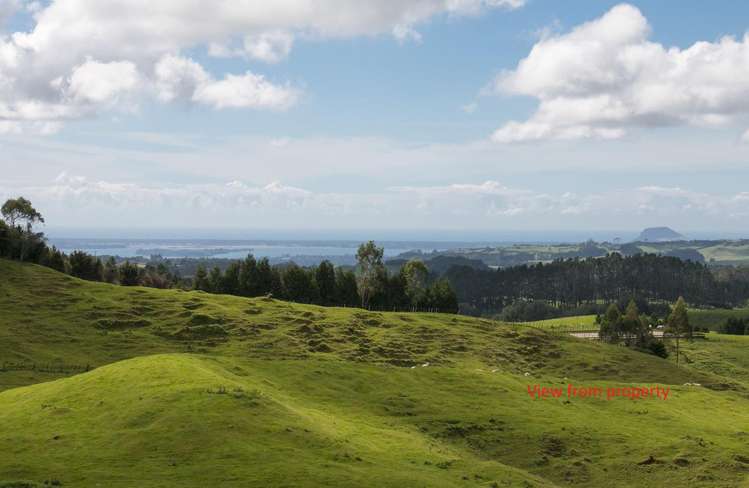 933 Whakamarama Road Whakamarama_9